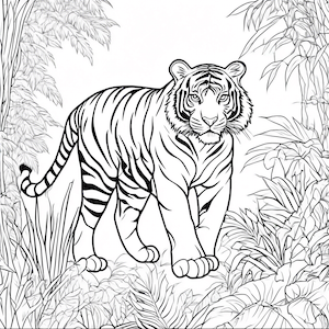 wild tiger in jungle